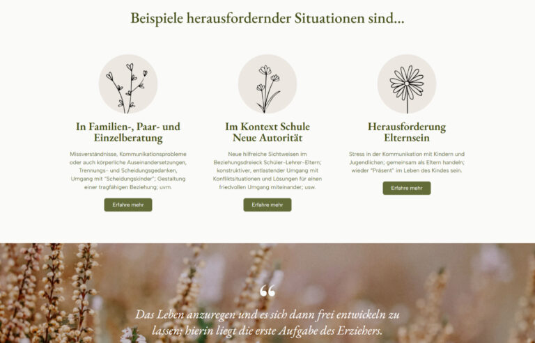 Website-Design-Entwicklung